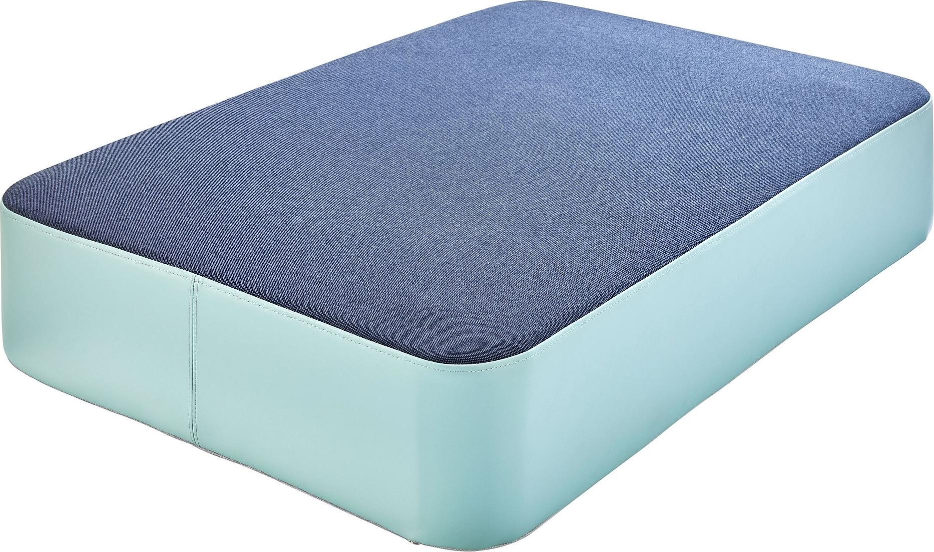 Dehler Hüpfkissen "Hipp-Hopp Indoor", XL