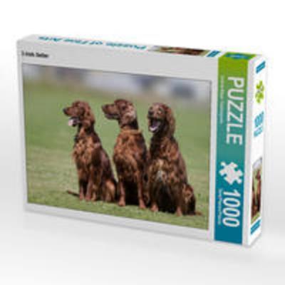 CALVENDO Puzzle 3 Irish Setter | 1000 Teile Lege-Größe 64x48cm Foto-Puzzle für glückliche Stunden