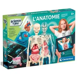 Sombo L'Anatomie FR