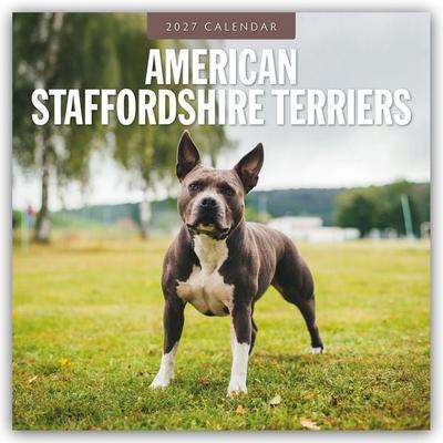 American Staffordshire Terriers – American Staffordshire Terrier 2027 – 16-Monatskalender