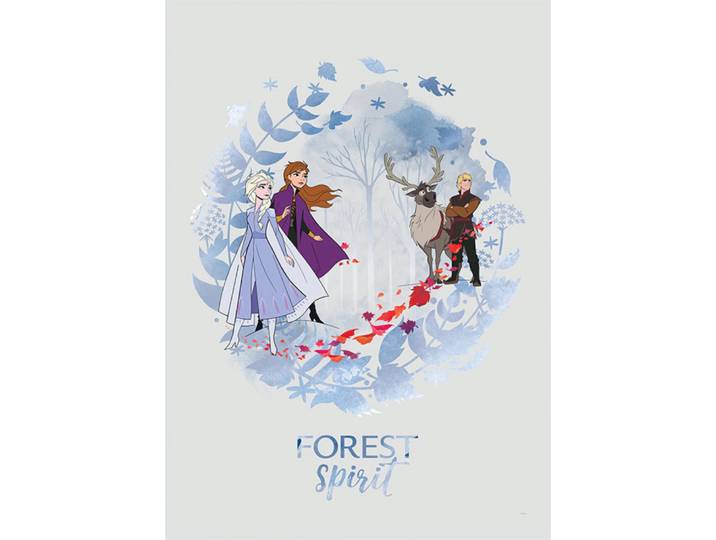 Poster Disney La Reine Des Neiges 2 - Esprit De La Forêt 40 Cm X 50 Cm