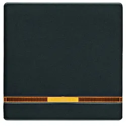 Berker Q.1/Q.3/Q.7 Wippe mit Linse 1-fach, anthrazit samt - 16216086
