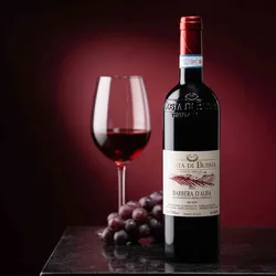 Costa di Bussia Barbera d ́Alba 2023 - Rotwein trocken - Piemont, Italien