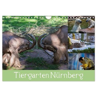 Tiergarten Nürnberg (Wandkalender 2027 DIN A4 quer), CALVENDO Monatskalender