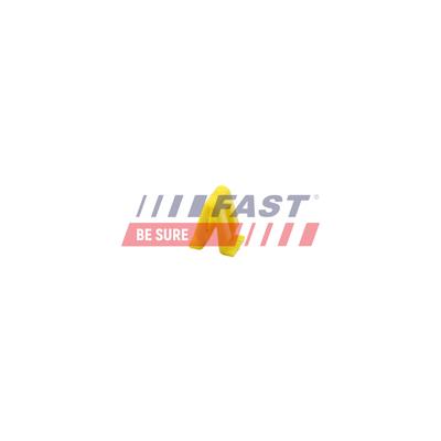 FAST Clip, Zier-/Schutzleiste FT96313 für Opel RENAULT