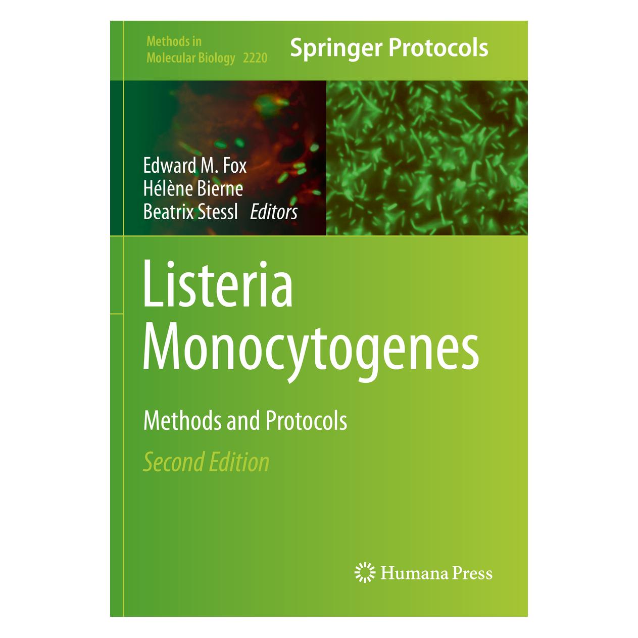 Springer Listeria Monocytogenes (Englisch, Softcover, Beatrix Stessl, Edward M. Fox, Hélène Bierne) (56209639)