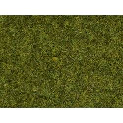 NOCH 0008361 Streugras Wiese 4 mm, 20 g
