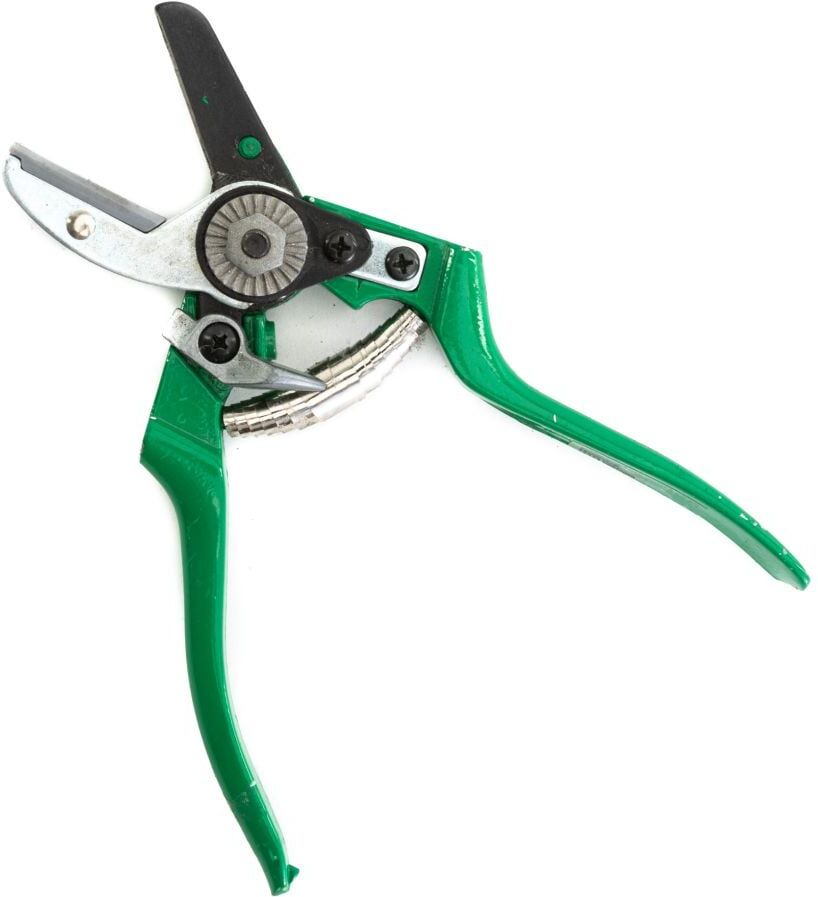 TrendLine Amboss Gartenschere