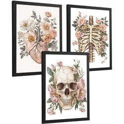 POSTER Set aus 3 Anatomie Mensch Florale Drucke und Wandbilder mit Herz Schädel und Brustkorb Weicher Vintage Stil Größe Schwarzer Rahmen A4