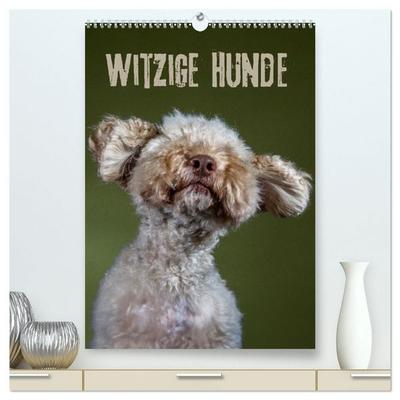Witzige Hunde (hochwertiger Premium Wandkalender 2027 DIN A2 hoch), Kunstdruck in Hochglanz