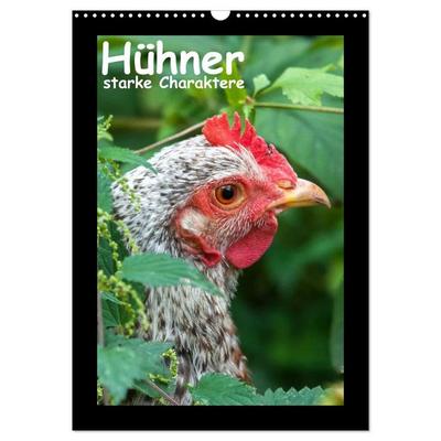 Hühner - starke Charaktere (Wandkalender 2026 DIN A3 hoch), CALVENDO Monatskalender