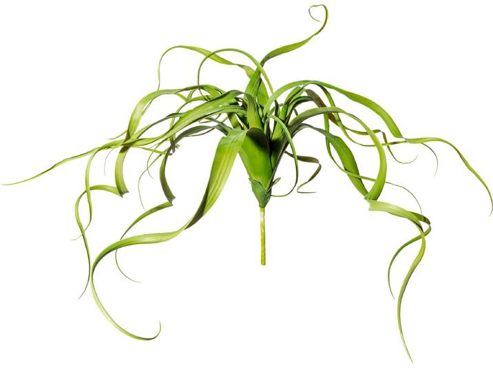 Kunstranke CREATIV GREEN Tillandsien-Hänger , grün, H:30cm Ø:35cm, Kunststoff, Kunstpflanzen, Kunstranke