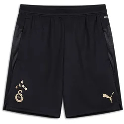 PUMA Galatasaray Istanbul Trainingsshorts 2025/26 Kinder 10 - PUMA black 176
