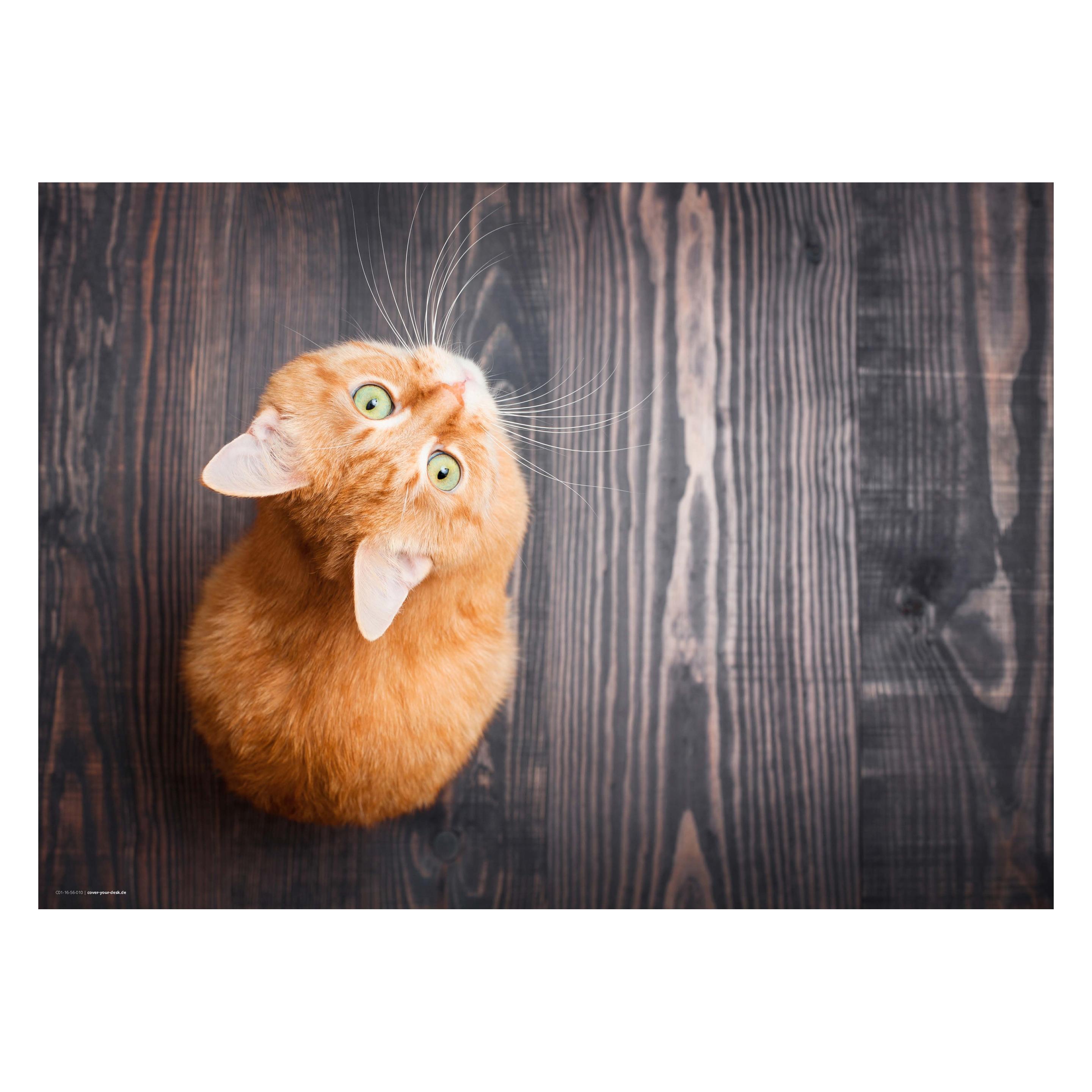 CoverYourDesk Schreibtischunterlage Orange Katze (21557283)