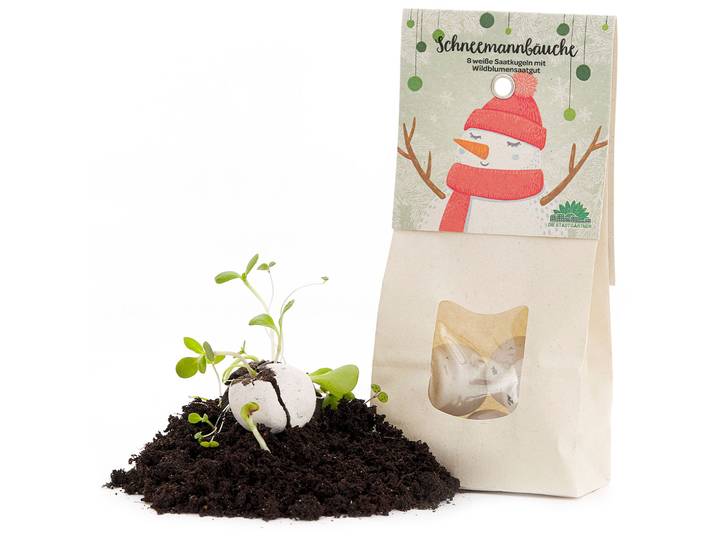 Schneemannbäuche: 8 Samenbomben, 19 Wildblumen-Saatgut