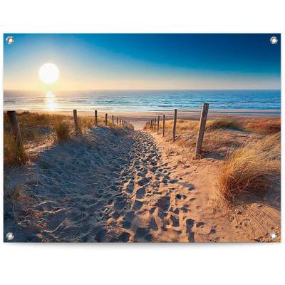 Poster REINDERS "Dünenweg zum Meer", blau (farbe bild(er): blau), B:80cm H:60cm T:0,1cm, Leinwand, Bilder, Poster