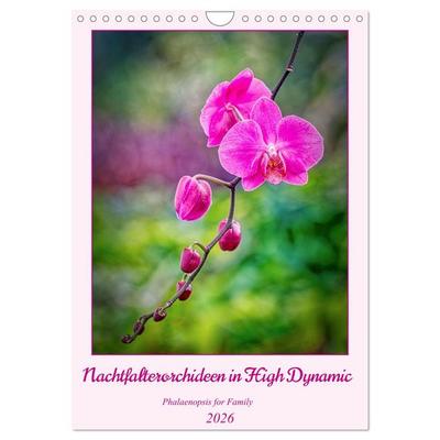 Nachtfalterorchideen in High Dynamic (Wandkalender 2026 DIN A4 hoch), CALVENDO Monatskalender