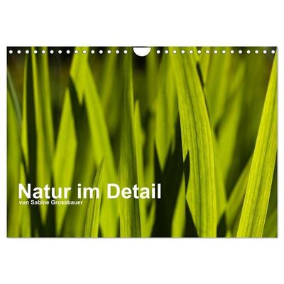 Natur im Detail (Wandkalender 2027 DIN A4 quer), CALVENDO Monatskalender