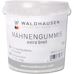 Waldhausen, Pferdeputzzeug