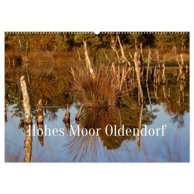 Hohes Moor Oldendorf (Wandkalender 2026 DIN A2 quer), CALVENDO Monatskalender