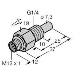 Turck Eintauchsensor FCS-G1/4A4-NA-H1141