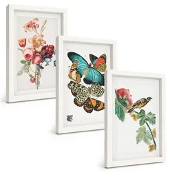 BILDER SET 3er Set - 20x30 cm Weißer Rahmen - Blumen, Schmetterlinge, Vögel, Pastellfarben