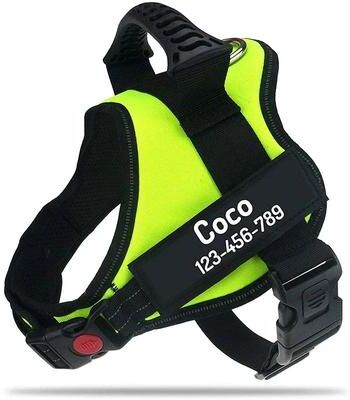 Uplift Treasures Adjustable Nylon Dog Harness With Custom ID Tag 3 xxl