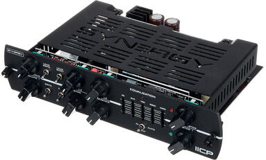 Synergy IICP