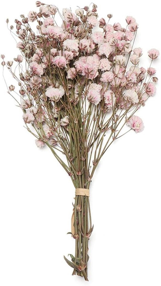 Gedroogde Bloemen - Kleine Boeketten voor Ambachtelijk Knutselen - Natuurlijke Decoratie - 1.0 Stuks - Roze