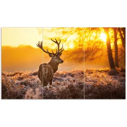 Wallario Herdabdeckplatte 80 x 52 cm (BxH), 1-teilig stattlicher Rothirsch im Morgengrauen