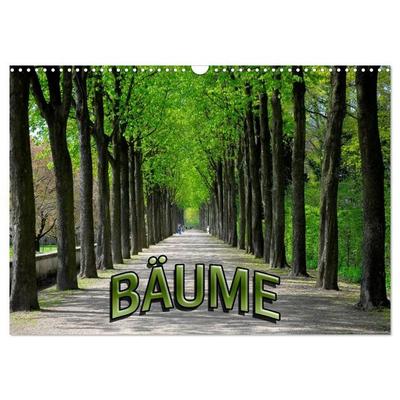 Bäume 2027 (Wandkalender 2027 DIN A3 quer), CALVENDO Monatskalender