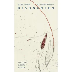 Resonanzen, Belletristik von Sebastian Kleinschmidt