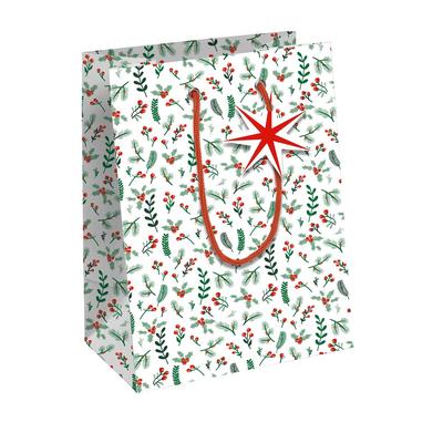 Clairefontaine 6x Cosy, Kraft weiß, Geschenktasche M 21,5x10,2x25,3 cm - Weiß X-32820-3C