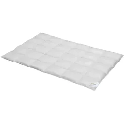 BettwarenShop, Duvet, Exclusiv (550 g, Daune, 220 x 140 cm)