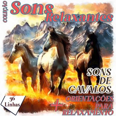 Coleção Sons Relaxantes - Sons de Cavalos - Silvia Strufaldi, Audio, 9798882487088