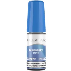 Flerbar Blueberry Mint NicSalt Liquid 10ml / 10mg
