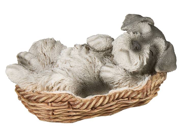 Vivid Schnauzer Welpe im Körbchen 8.2 × 11.4 × 18 cm