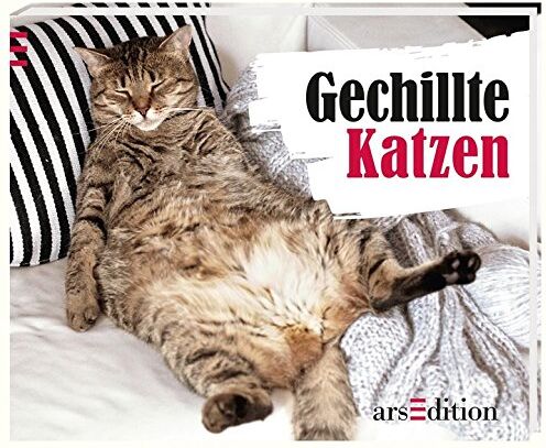 Paulus Vennebusch - Gechillte Katzen - Preis vom 30.09.2026 22:30:23 h