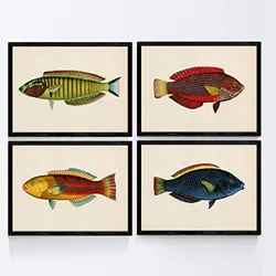 POSTER Set mit 4 Fischwirkung blauer und rotem gelber A3 Schwarzer Rahmen