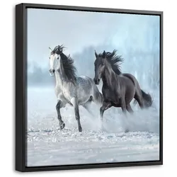 LEINWAND Bilder mit Rahmen - Pferde - Winter - Tiere - Natur - Schnee - 20x20