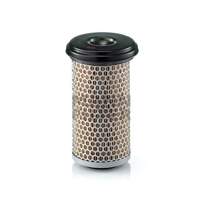MANN-FILTER Luftfilter C 1176 F01085385,7354867 Motorluftfilter,Filter für Luft