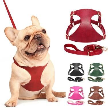 Uplift Picks Soft Genuine Leather Dog Harness And Leash Set For Small Medium Pets black m