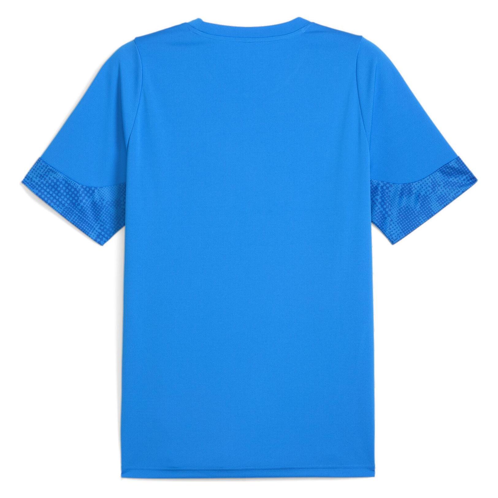 Puma teamCUP Training Jersey (M) (659167)