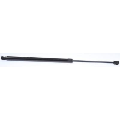 TRISCAN Gasfeder, Koffer-/Laderaum 8710 292062 für CUPRA SEAT