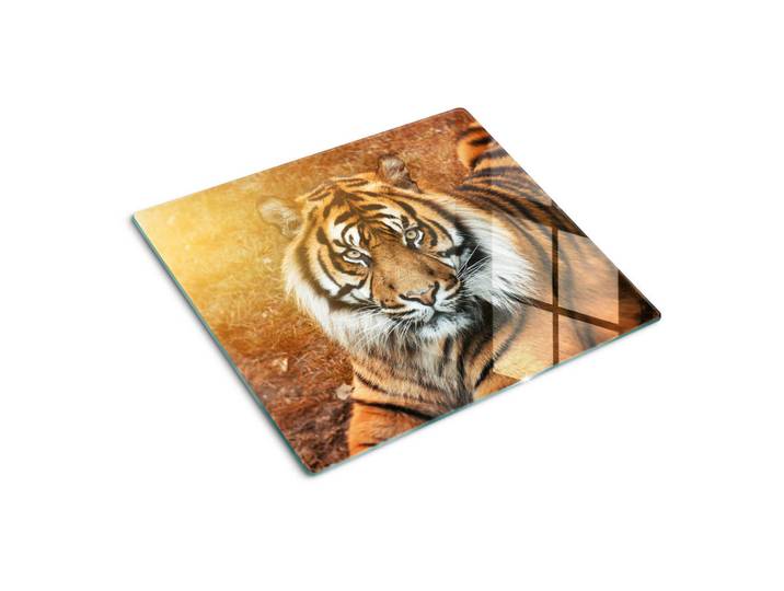 Tulup Glasplatte 60x52 cm Bengalischer Tiger, Braun, Glas, 60x0.4x52 cm, Küchen, Küchenelektrogeräte, Herde, Herdabdeckplatten