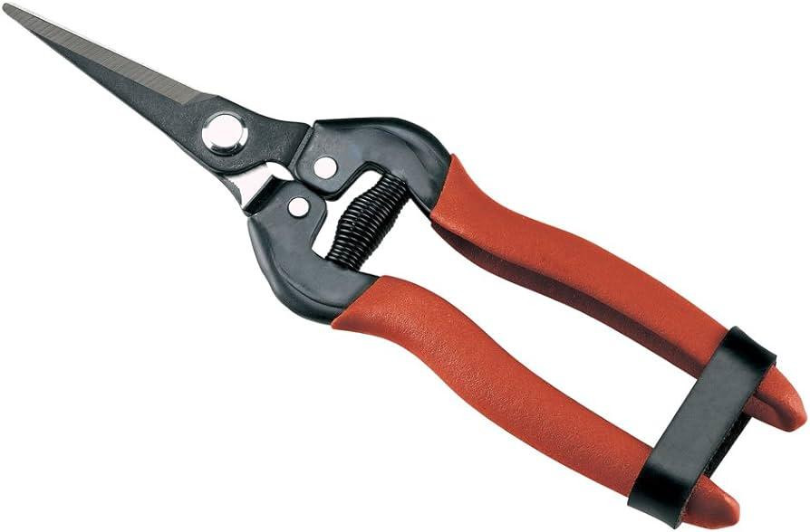 Asonia Citrussnoeischaar 16 cm