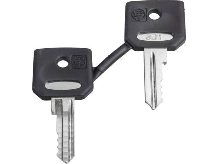 Schneider ZBG421E reservesleutel voor sleutelschakelaar, 421E, verpakkingseenheid: 2 stuks