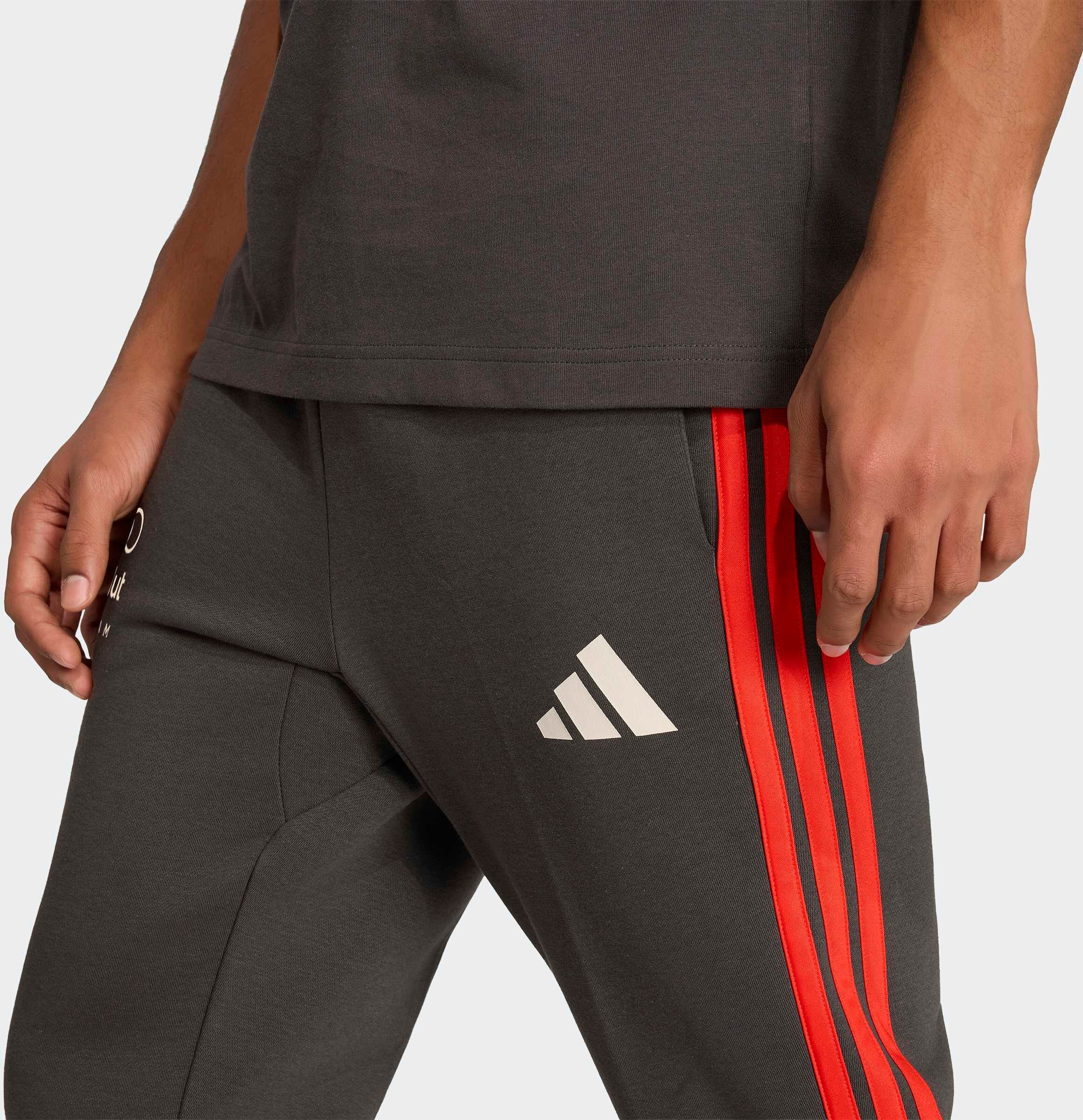Sporthose ADIDAS PERFORMANCE "AUDI REVOLUT F1 TEAM DNA", Herren, Gr. XL, N-Gr, grau (utility schwarz, normal, gr.), Obermaterial: 55% Baumwolle, 36% Polyester, 9% Viskose, Hosen Sporthose