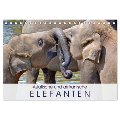 Asiatische und afrikanische Elefanten (Tischkalender 2027 DIN A5 quer), CALVENDO Monatskalender