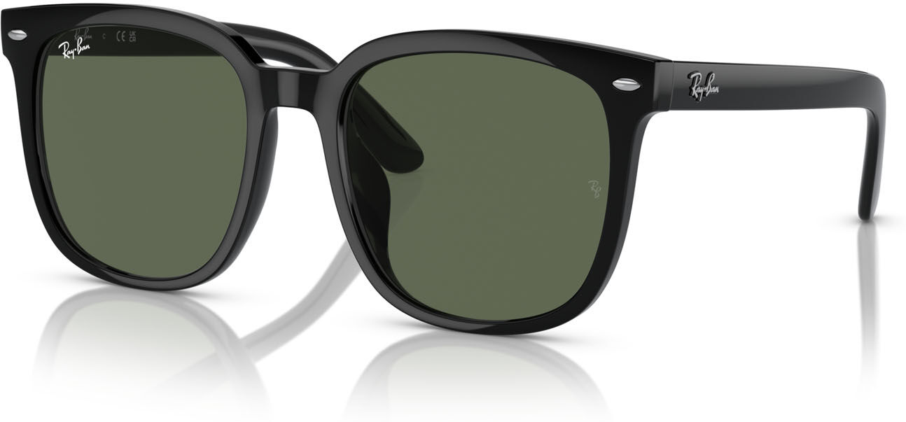 Ray-Ban 4401D (601/71)
